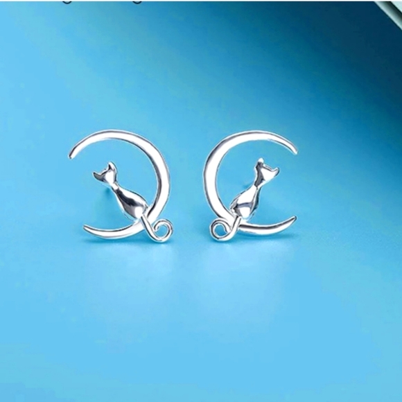 925 silver Jewelry - 925 Silver "Under the moon" Necklace and earring set